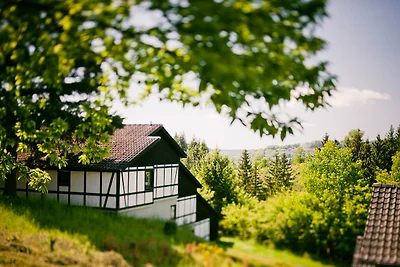 Ferienhaus "Ahorn" 9