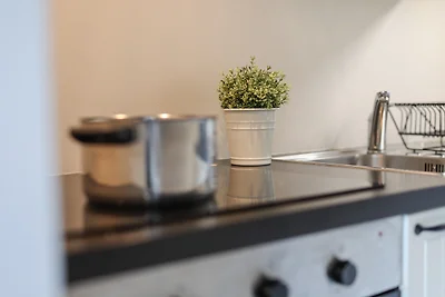 Probsteier Platz Möwennest