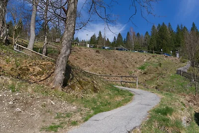 Appartamento Vacanza con famiglia Mittenwald