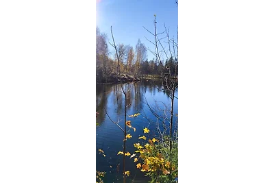 Vakantiehuis Ontspannende vakantie Oberharz am Brocken