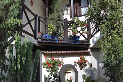 Kleines Einzelzimmer mit Meerblick