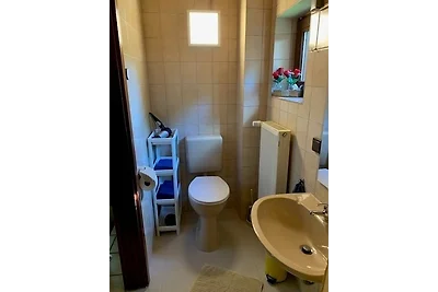 Ferienwohnung Urlaub im Wald