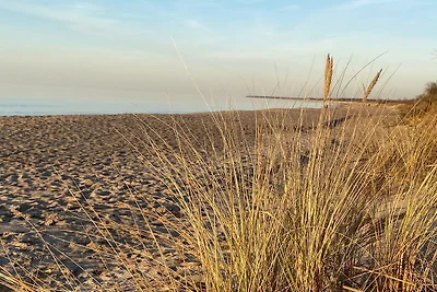 Vakantieappartement Gezinsvakantie Markgrafenheide