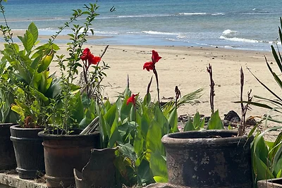 Vakantieappartement Gezinsvakantie Cebu