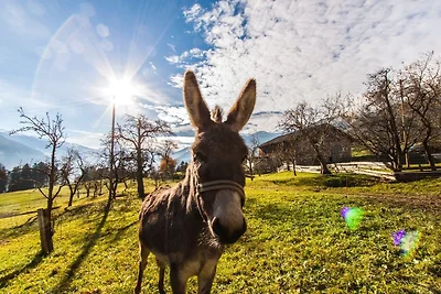 Casa vacanze Vacanza di relax Fügenberg