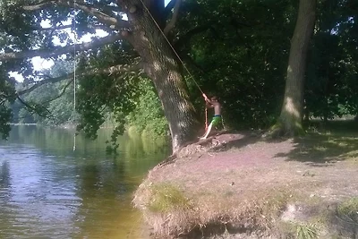Ferienhaus Zauneidechse im