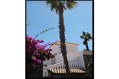 Fuerteventura Beachhouse