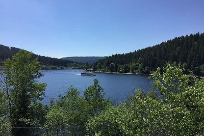 Ferienwohnung Schwarzwald in der