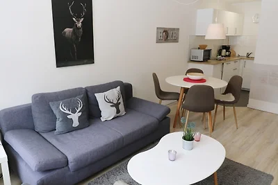 Kurhotel Schluchsee App. 1511 -