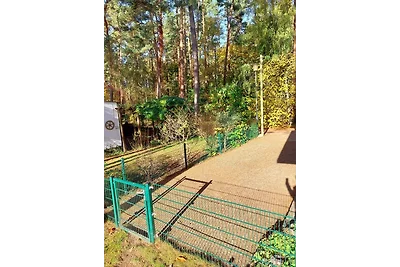 Ferienhaus Waldschneise C am