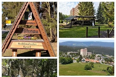 Fewo Eulennestchen-Harz S.1 für