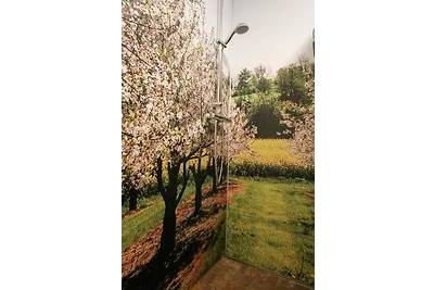 Familienhof Brüning -