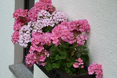 Vakantieappartement Gezinsvakantie Rechenberg-Bienenmühle