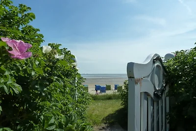 Bi de Wyk, Whg. D5A - Hooge