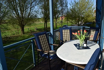 Liehm, Petra & Norbert: App. (Nr.