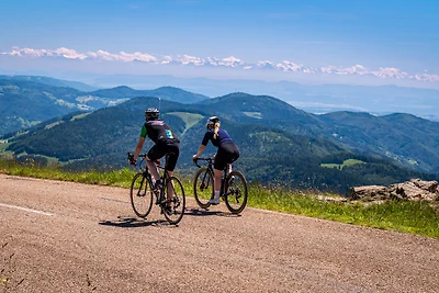Ferienwohnung "Bergfrieden"