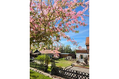 Appartamento Vacanza con famiglia Quedlinburg