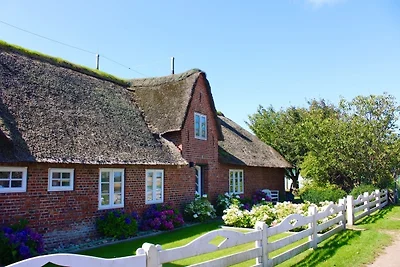Landhaus am Meer - Haus Ankerplatz