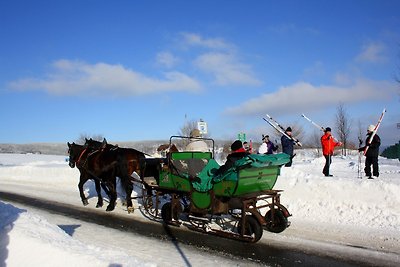 Appartamento Vacanza con famiglia Sehmatal