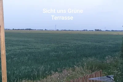 Boje 34