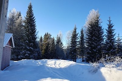 Vakantiehuis Ontspannende vakantie Torsby