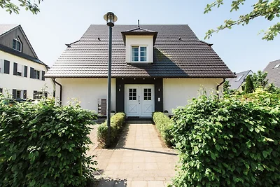 Seeschwalbe