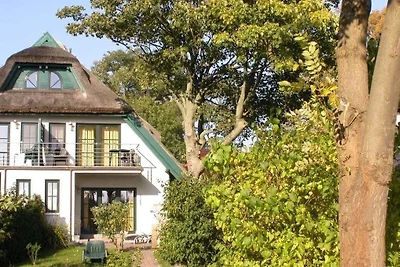 Reet - Eckhaus 17f "Moosbeere"