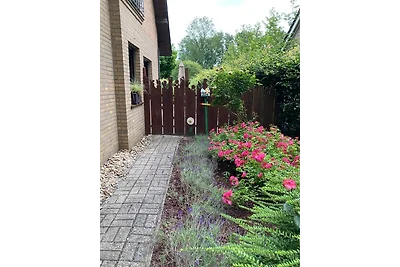 Ferienwohnung auf dem Eltenberg