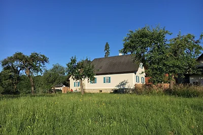 Kellerstöckl am veganen