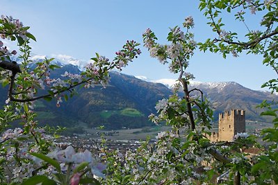 Appartamento Vacanza con famiglia Bolzano