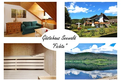 Appartamento Vacanza con famiglia Schluchsee