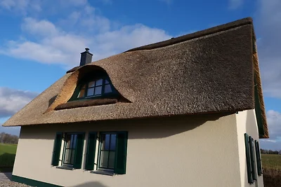 Vakantiehuis Ontspannende vakantie Zierow