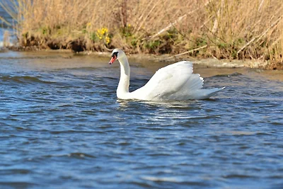 Royale Cube mit Dachterrasse.