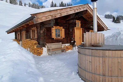 Berghütte in Saalbach Bachalm 1802