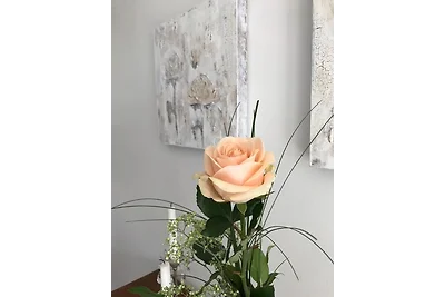 Sylter Rose - Südterrasse mit