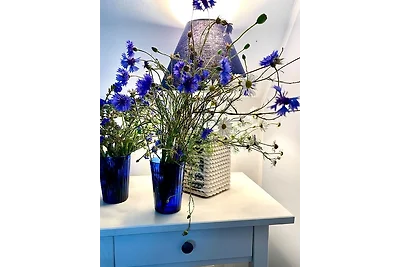 Reethaus "Strandhafer"