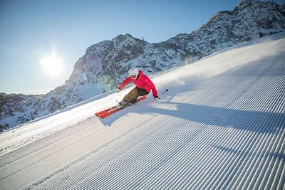 Appartamento Vacanza con famiglia Kitzbühel