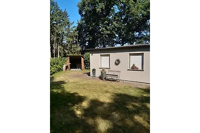 Ferienhaus nah an Wald & See