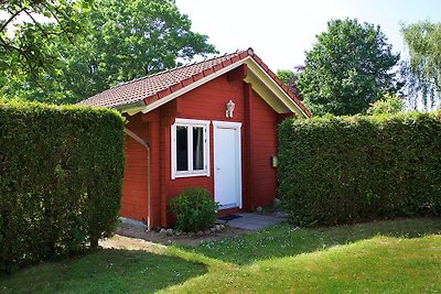 Blockhaus Ferien - Ferienwohnung