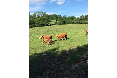 Schwabenhof Ferienwohnung I