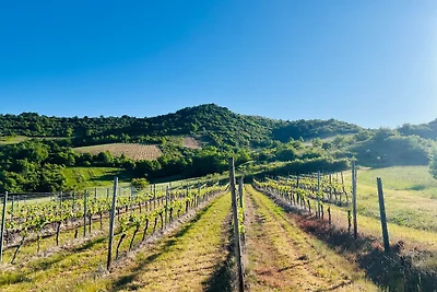 Appartamento Vacanza con famiglia Gau-Odernheim