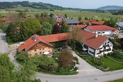 Vakantieappartement Gezinsvakantie Böbing