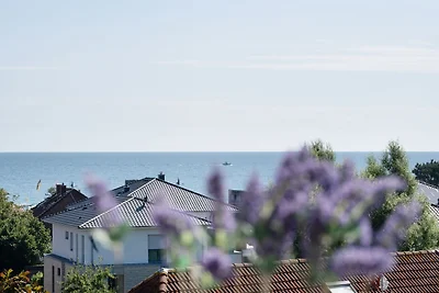 Berolina Seeblick