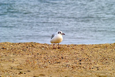 Schleswig-Holstein Whg 02 EG re