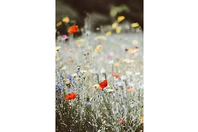 Wildgrün Panorama Lodge 3