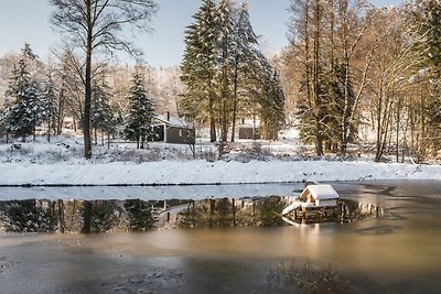 4 Personen mit Sauna (F0H2)