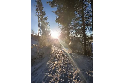 Appartamento Vacanza con famiglia Bad Berleburg