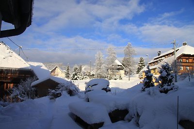 Casa vacanze Vacanza di relax Bernau im Schwarzwald