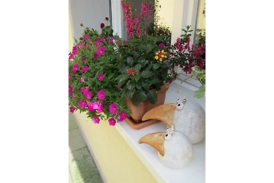 Appartamento Vacanza con famiglia Bad Peterstal-Griesbach