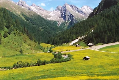 Vakantiehuis Ontspannende vakantie Außervillgraten